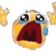 Image of the popular "NOOOO" Twitch emote